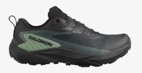 SALOMON ESPADRILLE COURSE SENTIERS GTX